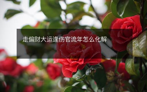 走偏財(cái)大運(yùn)逢傷官流年怎么化解