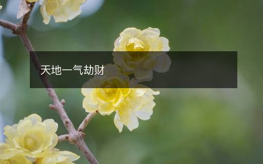 天地一氣劫財