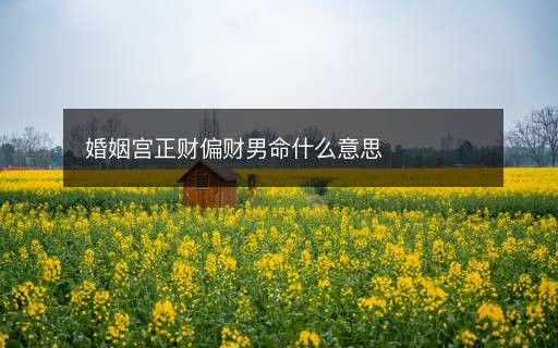 婚姻宮正財(cái)偏財(cái)男命什么意思