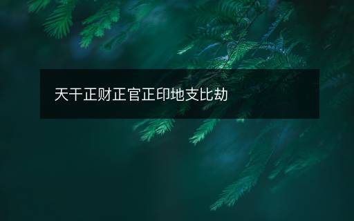 天干正財(cái)正官正印地支比劫