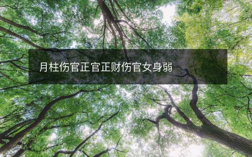 月柱傷官正官正財傷官女身弱