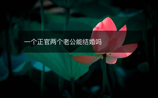 一個(gè)正官兩個(gè)老公能結(jié)婚嗎