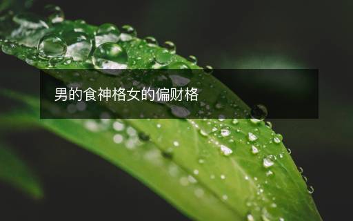 男的食神格女的偏財格