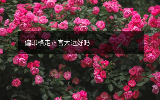 偏印格走正官大運好嗎