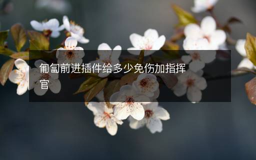 匍匐前進插件給多少免傷加指揮官