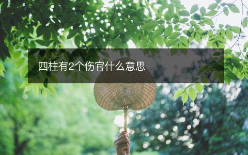四柱有2個傷官什么意思