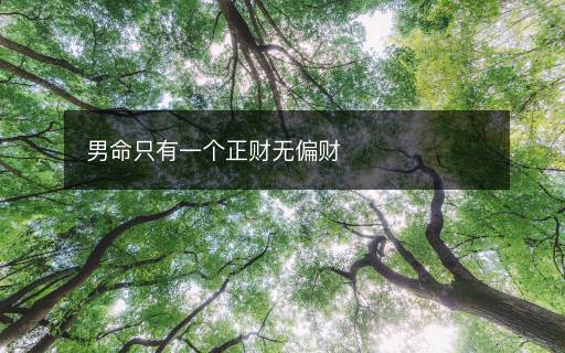 男命只有一個正財無偏財