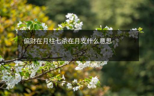 偏財在月柱七殺在月支什么意思