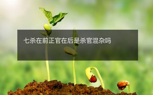 七殺在前正官在后是殺官混雜嗎