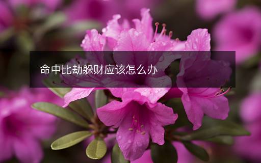 命中比劫躲財應(yīng)該怎么辦