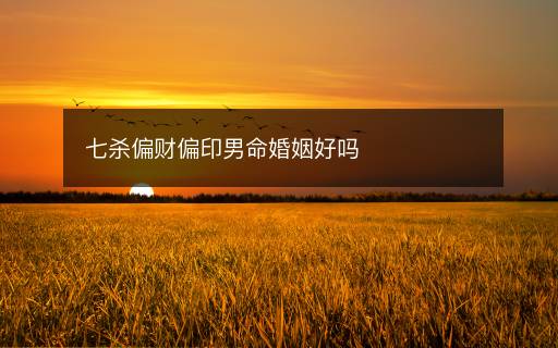 七殺偏財偏印男命婚姻好嗎