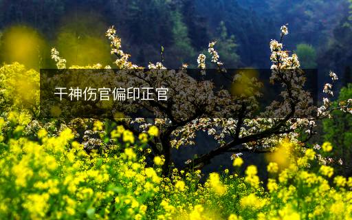 干神傷官偏印正官