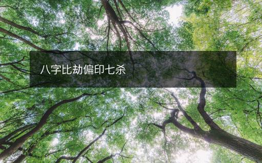 八字比劫偏印七殺
