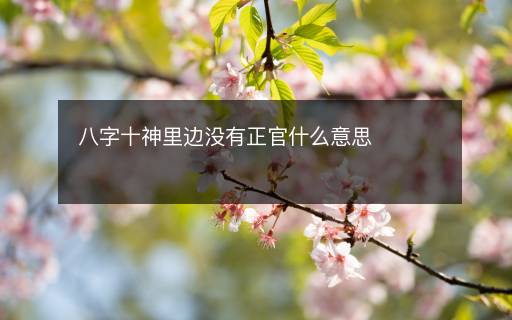 八字十神里邊沒有正官什么意思