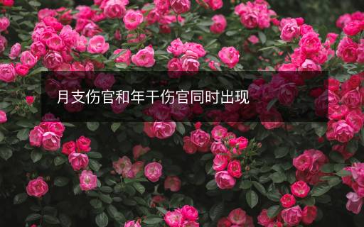 月支傷官和年干傷官同時出現(xiàn)