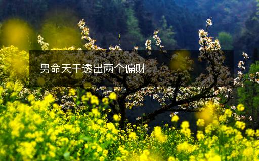 男命天干透出兩個(gè)偏財(cái)