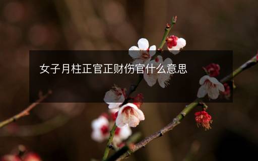 女子月柱正官正財(cái)傷官什么意思
