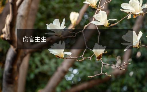 傷官主生