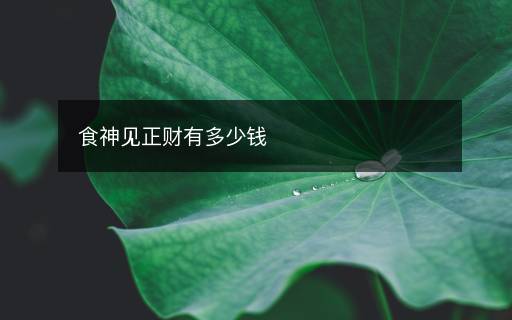 食神見正財(cái)有多少錢