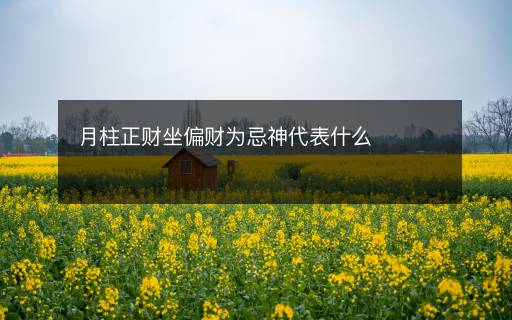 月柱正財坐偏財為忌神代表什么