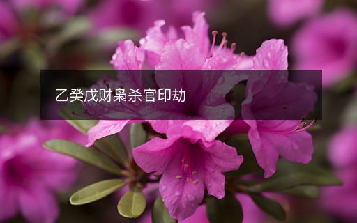 乙癸戊財梟殺官印劫