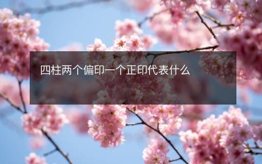 四柱兩個偏印一個正印代表什么