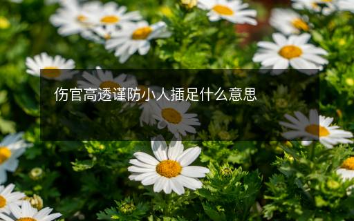 傷官高透謹防小人插足什么意思