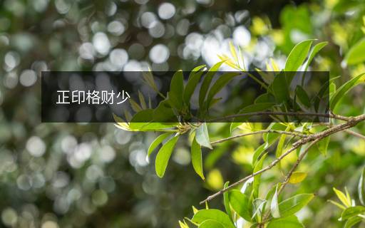 正印格財少