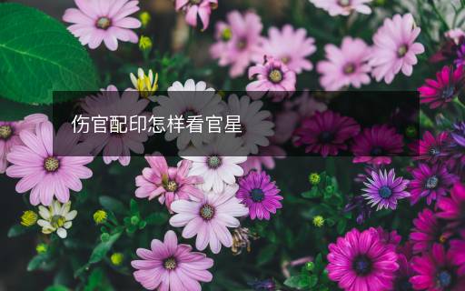 傷官配印怎樣看官星