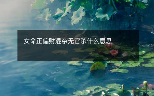 女命正偏財混雜無官殺什么意思