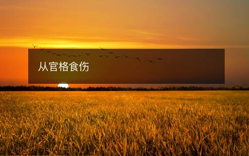 從官格食傷