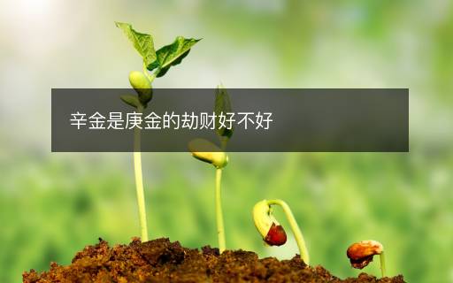 辛金是庚金的劫財(cái)好不好