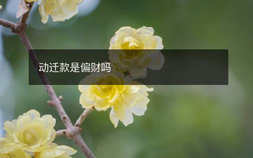 動遷款是偏財嗎