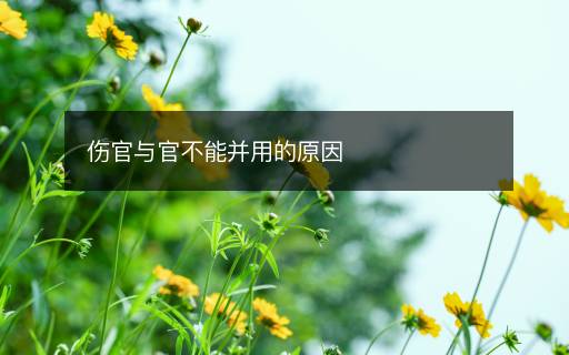 傷官與官不能并用的原因