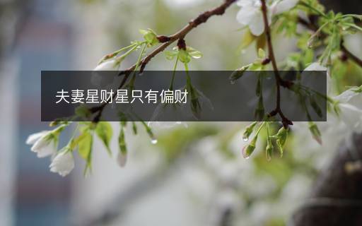 夫妻星財(cái)星只有偏財(cái)