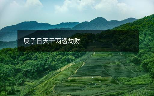 庚子日天干兩透劫財(cái)