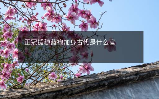 正冠撥穗藍袍加身古代是什么官
