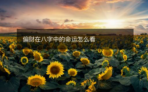 偏財(cái)在八字中的命運(yùn)怎么看