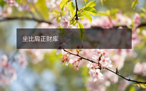 坐比肩正財(cái)庫