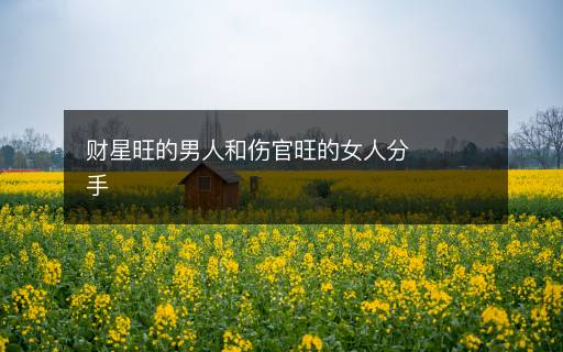 財星旺的男人和傷官旺的女人分手