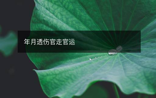 年月透?jìng)僮吖龠\(yùn)