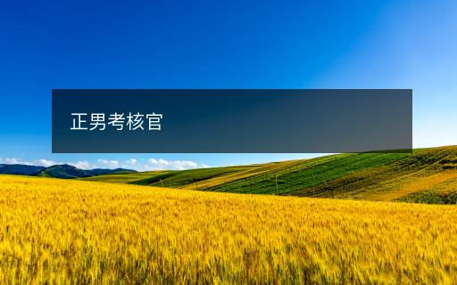 正男考核官