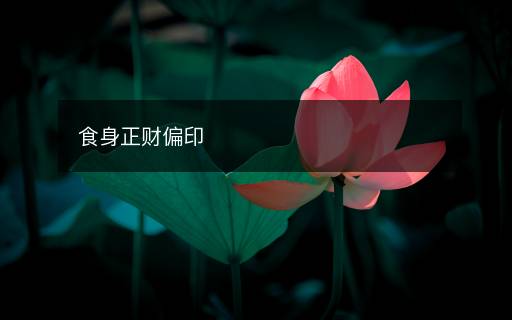 食身正財偏印