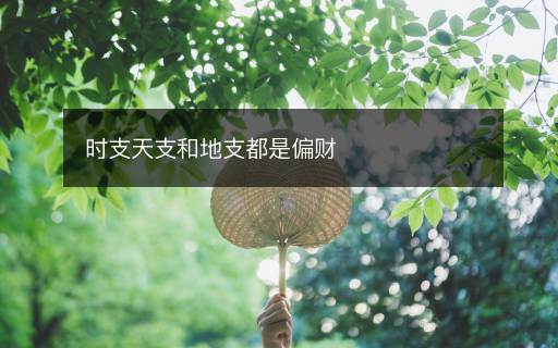 時(shí)支天支和地支都是偏財(cái)