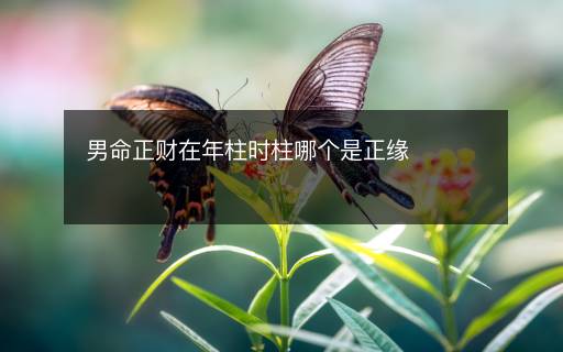 男命正財(cái)在年柱時(shí)柱哪個(gè)是正緣