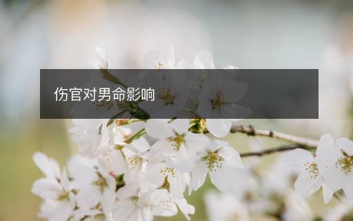 傷官對男命影響