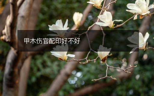 甲木傷官配印好不好