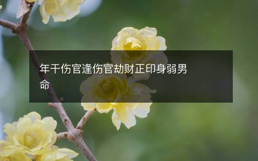 年干傷官逢傷官劫財(cái)正印身弱男命
