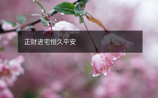 正財進宅恒久平安