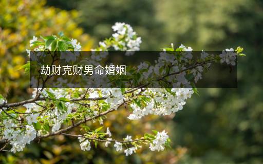 劫財(cái)克財(cái)男命婚姻